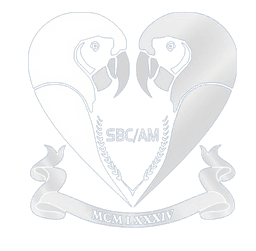 Logo Sociedade Brasileira de Cardiologia