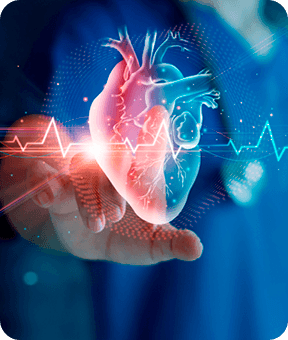 Estatísticas Cardiovasculares 2023 apontam que mais de R$ 1 bilhão são gastos anualmente com procedimentos cardiovasculares no Brasil pelo SUS